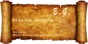 Brezina Gergely névjegykártya