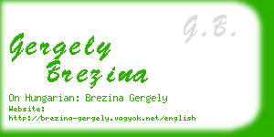 gergely brezina business card